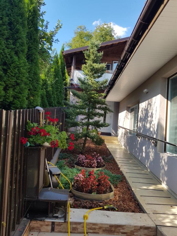 Casa Negoiu Apartman Marosvásárhely Kültér fotó