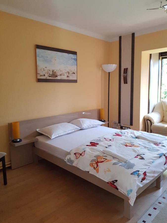 Casa Negoiu Apartman Marosvásárhely Kültér fotó